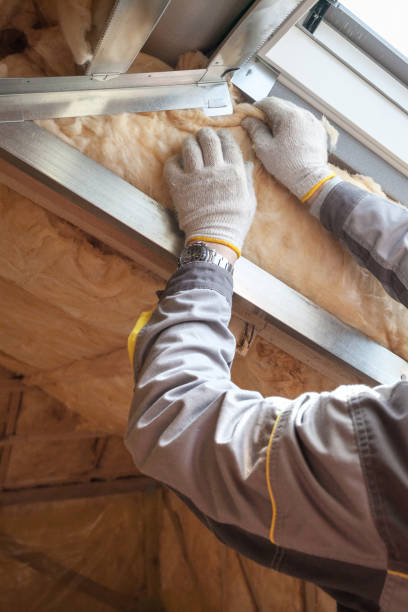 Professional Insulation in Southern Shores, NC